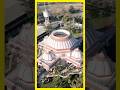 Tadkeshwar Mahadev Mandir Valsad FACTS Shorts