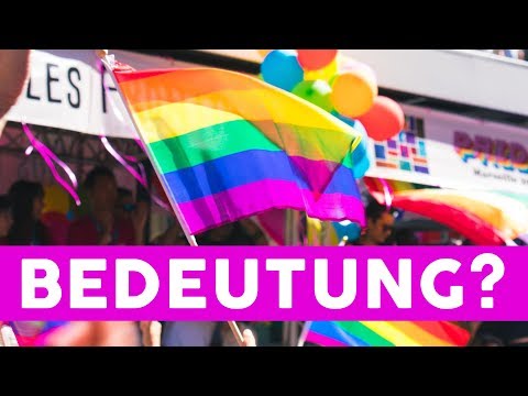 5x Regenbogen Fahne Flagge Rainbow mit STOCK 30x45 Gay Lesbian Schwenkfahne NEU