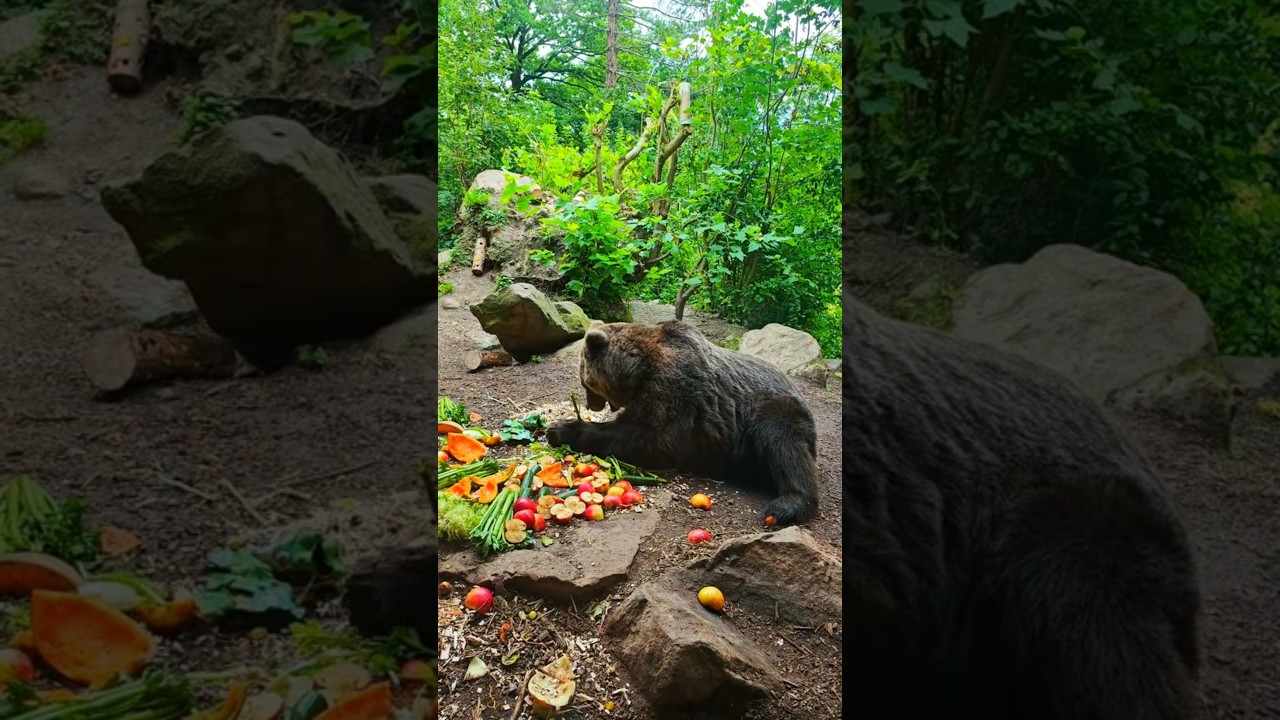 YouTube Short thumbnail