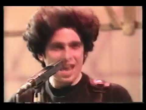 Andres Calamaro en Rebelde sin Pausa