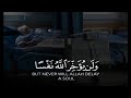 Sherif Mostafa Quran Tilawat Islamic Whatsapp Status Beautiful Quran Recitation 2021 Shorts