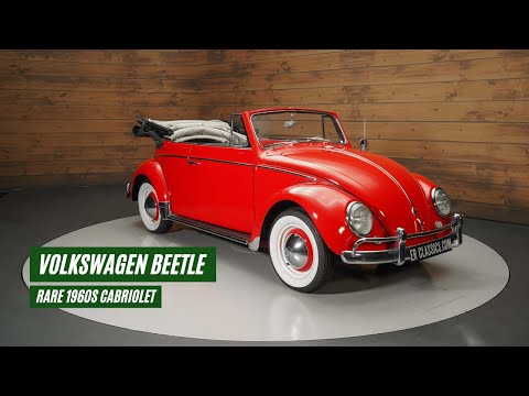 1962 Volkswagen Beetle (CC-1902103) for sale in Waalwijk, Noord-Brabant