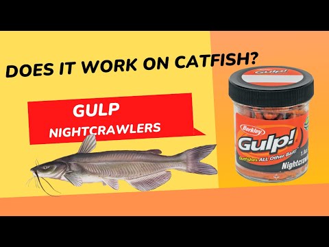 Gulp Nightcrawlers review Do they catch catfish?