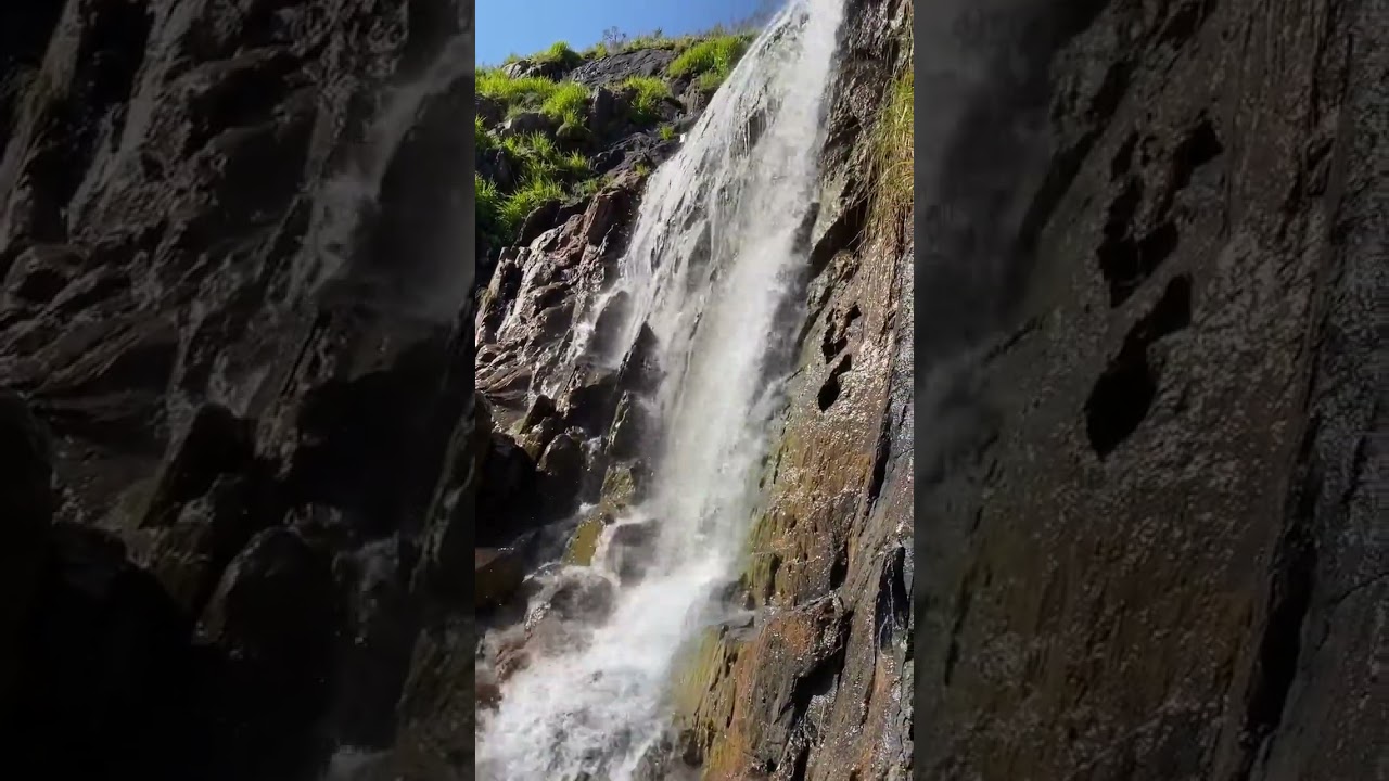 YouTube Short thumbnail