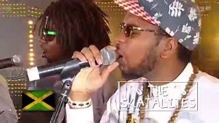 Non Stop Ska! Music Festival