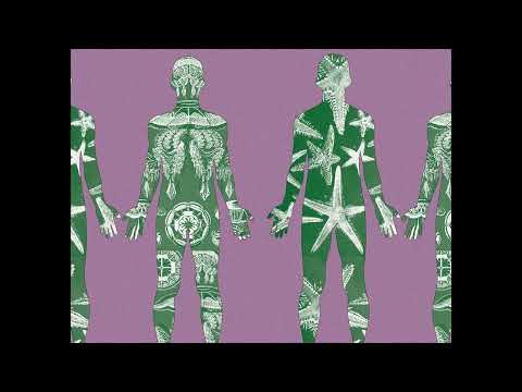 Equinoxious - Proyecciones Elementales