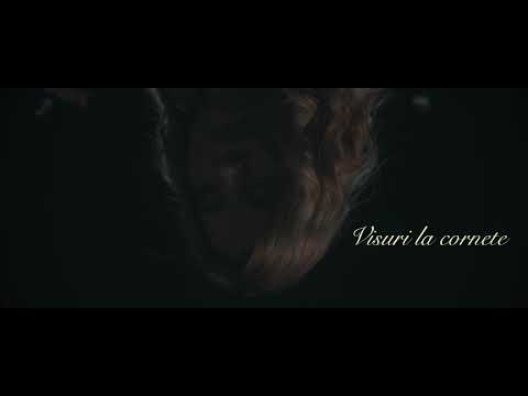 Ana Maria Pantaze - Visuri la cornete (Teaser)