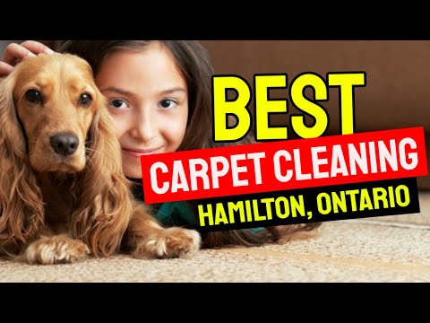 download lagu mp3 mp4 Carpet Cleaning Hamilton Ontario, download mp3 Carpet Cleaning Hamilton Ontario free downloadn, video klip Carpet Cleaning Hamilton Ontario