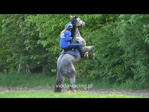 Trening - Tor Służewiec, Warszawa, 2.05.2023 (1)