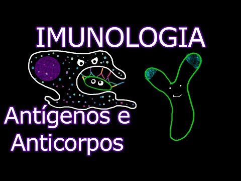 Aula: Imunologia - Antígenos e Anticorpos | Imunologia #7