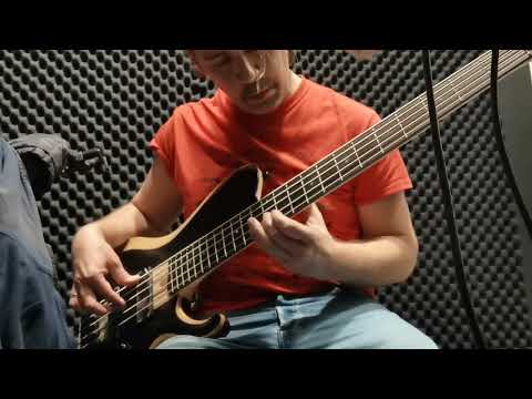 Bass test Drive: BTB 865 SC WKL