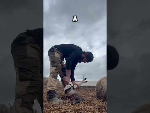 не судите строго ТИМУ сделал че мог , а лучше подпишитесь на тг в шапке профиля ❤️