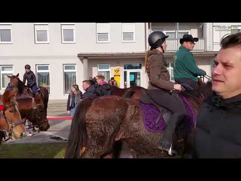 Štefanov blagoslov konjev v Križevcih pri Ljutomeru