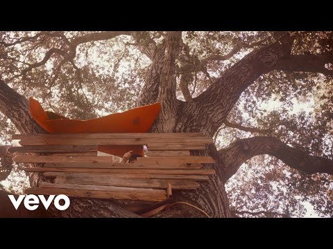 Words I Used - The Backseat Lovers