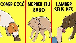 15 Comportamentos de Cão Explicados – Por Que Seu Cachorro Faz Isso! 🦮🔥