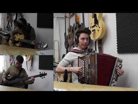Ziachnrocker Nico Marsoun - Swingende Harmonika