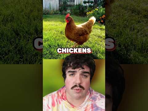 CRAZIEST PUNISHMENT EVER! 😂