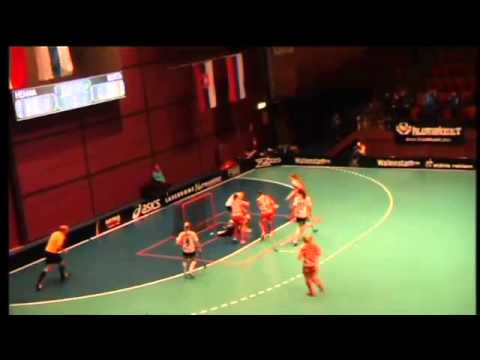 G15 Final 2014: Pixbo Wallenstam IBF - Olofströms IBK