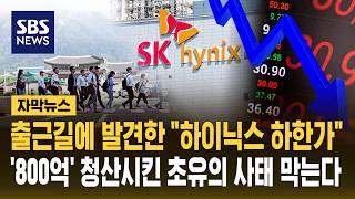 출근길에 발견한 "하이닉스 하한가"..'800억' 청산시킨 초유의 사태 막는다 (자막뉴스) / SBS