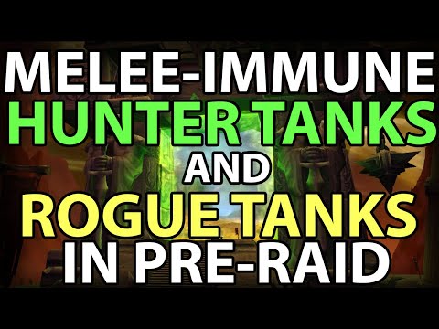Unhittable Hunter Tanks and Rogue Tanks in Pre-Raid Gear - TBC Classic (WRONG, SORRY! HUNTERS CAN'T)