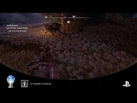 This game was so beautiful