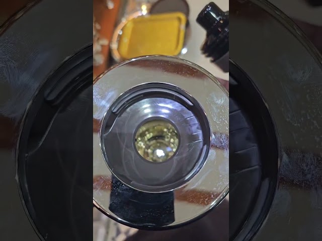 ترمس ابو فيل - زوجيروشي - ستيل ياباني ( 1600 مل )...