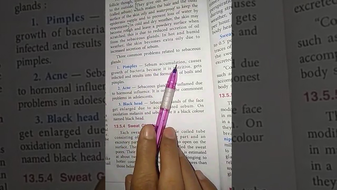 9th grade ICSE Ch-13 Skin The Jack of all Trades L 4