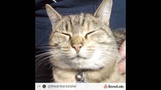 Dinker - If I Had A Woman (Sloppy Seconds)