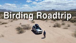 This Birding Roadtrip Through Southern Utah and Arizona Delivered!