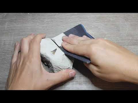 Removing a shark tooth