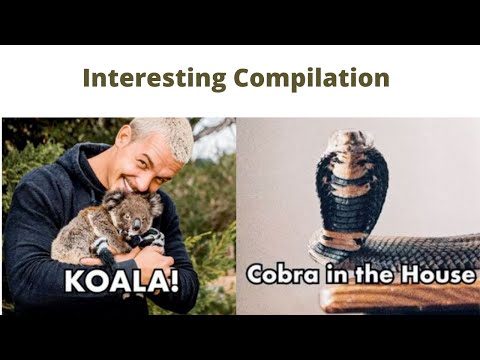 Interesting and Fascinating Compilation| Dean Schneider