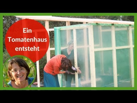 Tomatenhaus-Bau: Ein Biogarten Füllhorn Projekt