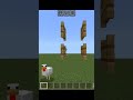 Minecraft Logics That Will Blow Your Mind Shorts Viral Gaming