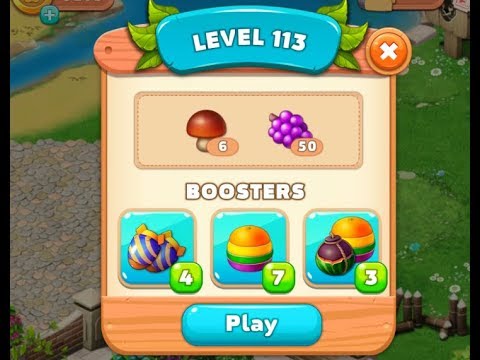 Family Zoo Level 113