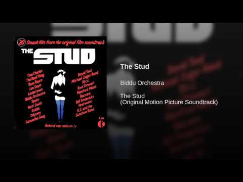 The Stud