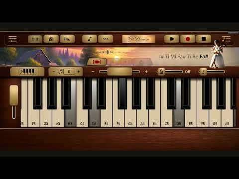 Mandolin Sim
