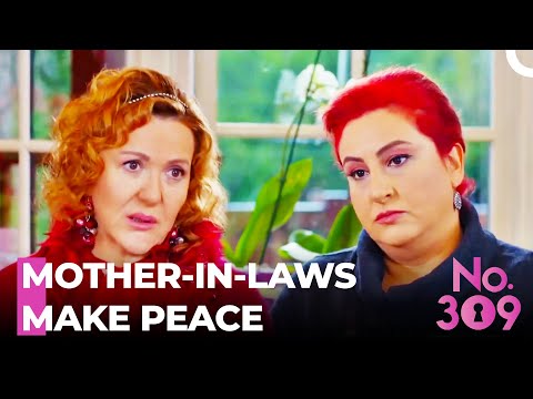 I'm Sorry, Ms. Songul - No. 309