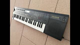 Video thumbnail for Casio, CZ 230S, Synthesizer, Vintage, Sound-Demo, Preset-Patches by M. Schmied (Mike Vintagemusic)