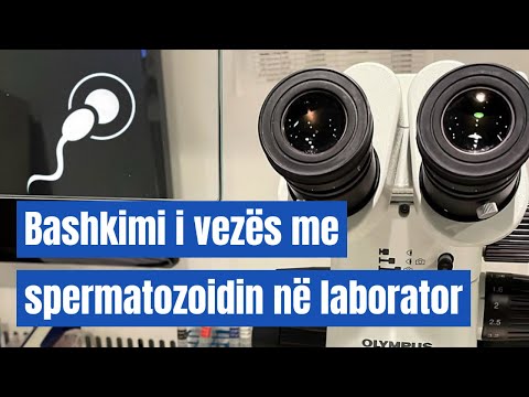 Fertilizimi In Vitro me ICSI - Intra Cytoplasmatic Sperm Injection