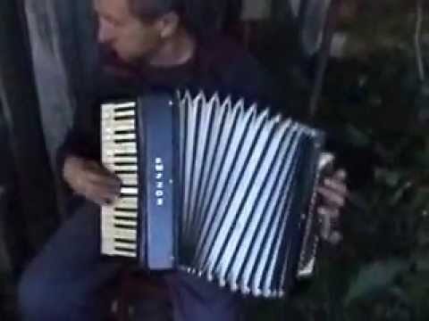 Petrecere in Albulesti 1