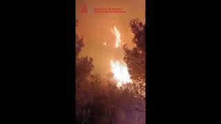 Extracto informativo 22-10-25 son 279 las comarcas afectadas por emergencias de protección civil