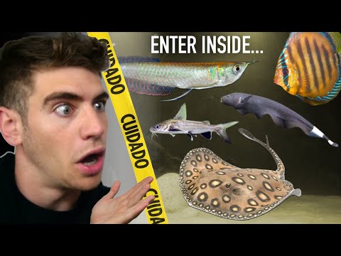Inside Colombia's *LARGEST* Aquarium Store!! (Tour)