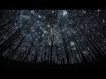 Bad Bunny Monaco Instrumental 1 Hour Violin Trimmed And Looped