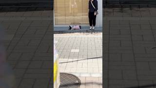 どこでも休憩できるフレブル