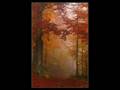 Forest Of Shadows - November Dream 