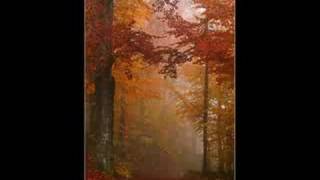 Bài hát A November Dream - Nghệ sĩ trình bày Forest Of Shadows