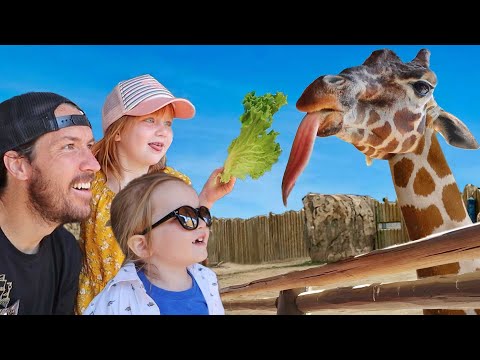 FEEDiNG ZOO ANiMALS!!  Adley & Niko feed a Giraffe, a Rhino, and do a vet morning check up routine!