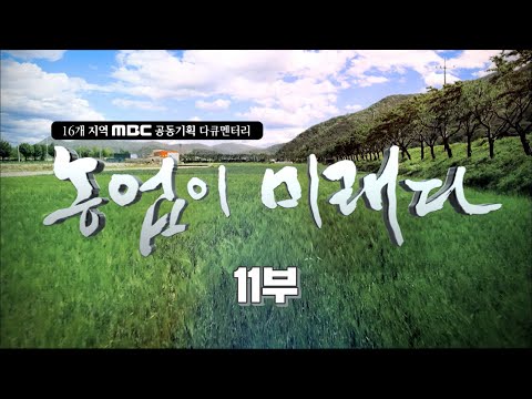 , title : '🌿흙흙ㅠㅠ 나를 잊으면 슬프단 말이야!! 유한한 '흙'!!ㅣ지역 MBC 공동기획 다큐멘터리ㅣ농업이 미래다 11부ㅣ사라지면 안 될 흙의 가치ㅣ명품다큐'