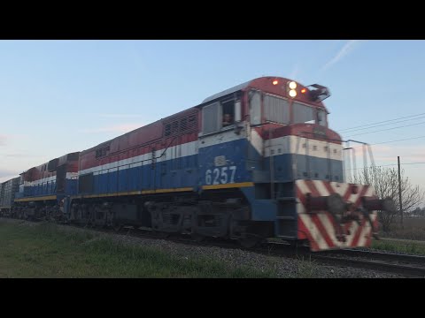 [4K] Tren vacio de NCA saliendo de Marcos Juárez rumbo al oeste al atardecer!!!!!!