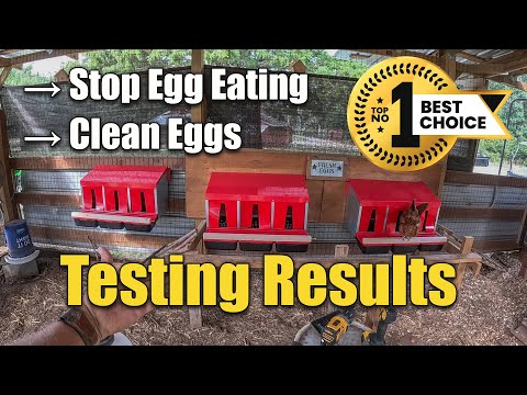 Testing Best Roll Out Nesting Box for Chicken Coops